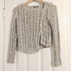Zara Cropped Sweater